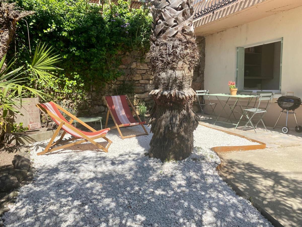 Gite Le Palmier - Perfectly Located Cosy Studio With Private Garden Puissalicon Ngoại thất bức ảnh