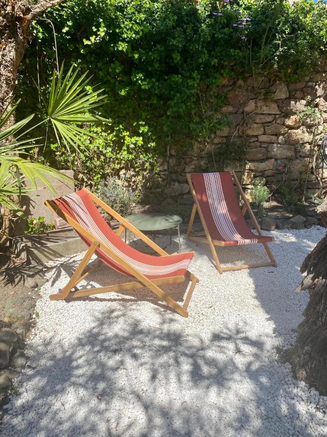 Gite Le Palmier - Perfectly Located Cosy Studio With Private Garden Puissalicon Ngoại thất bức ảnh